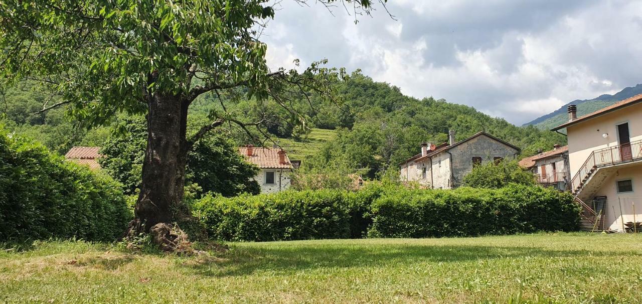 Il Capriolo Villa Tavernelle  Bagian luar foto